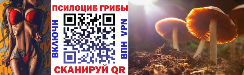 Псилоцибиновые грибы ЛСД Купить закладки Павлово